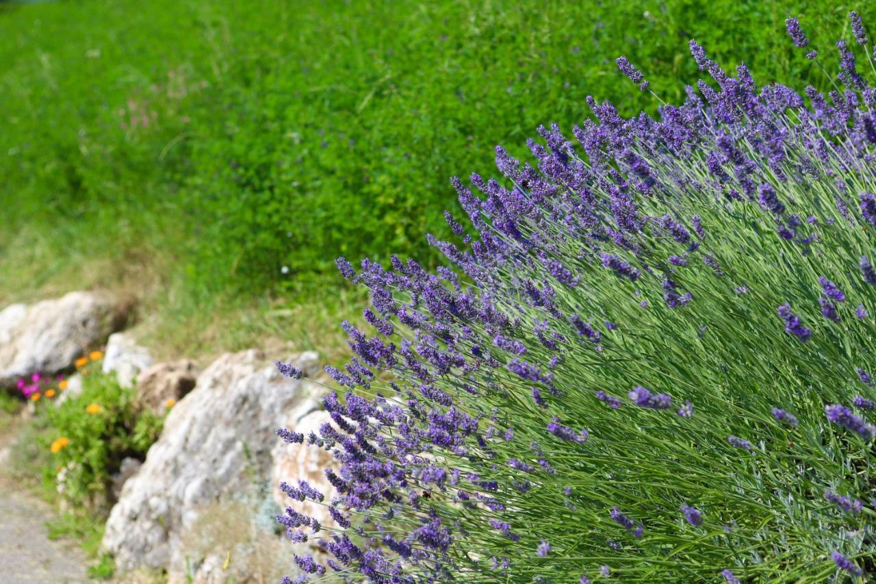 Agriturismo Fattoria Monte Baldo Vista Lago Caprino Veronese Εξωτερικό φωτογραφία